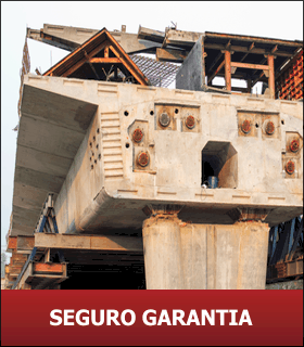 SEGURO GARANTIA